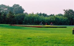 網(wǎng)絡(luò)化空氣監(jiān)測(cè)站監(jiān)測(cè)哪些參數(shù)？